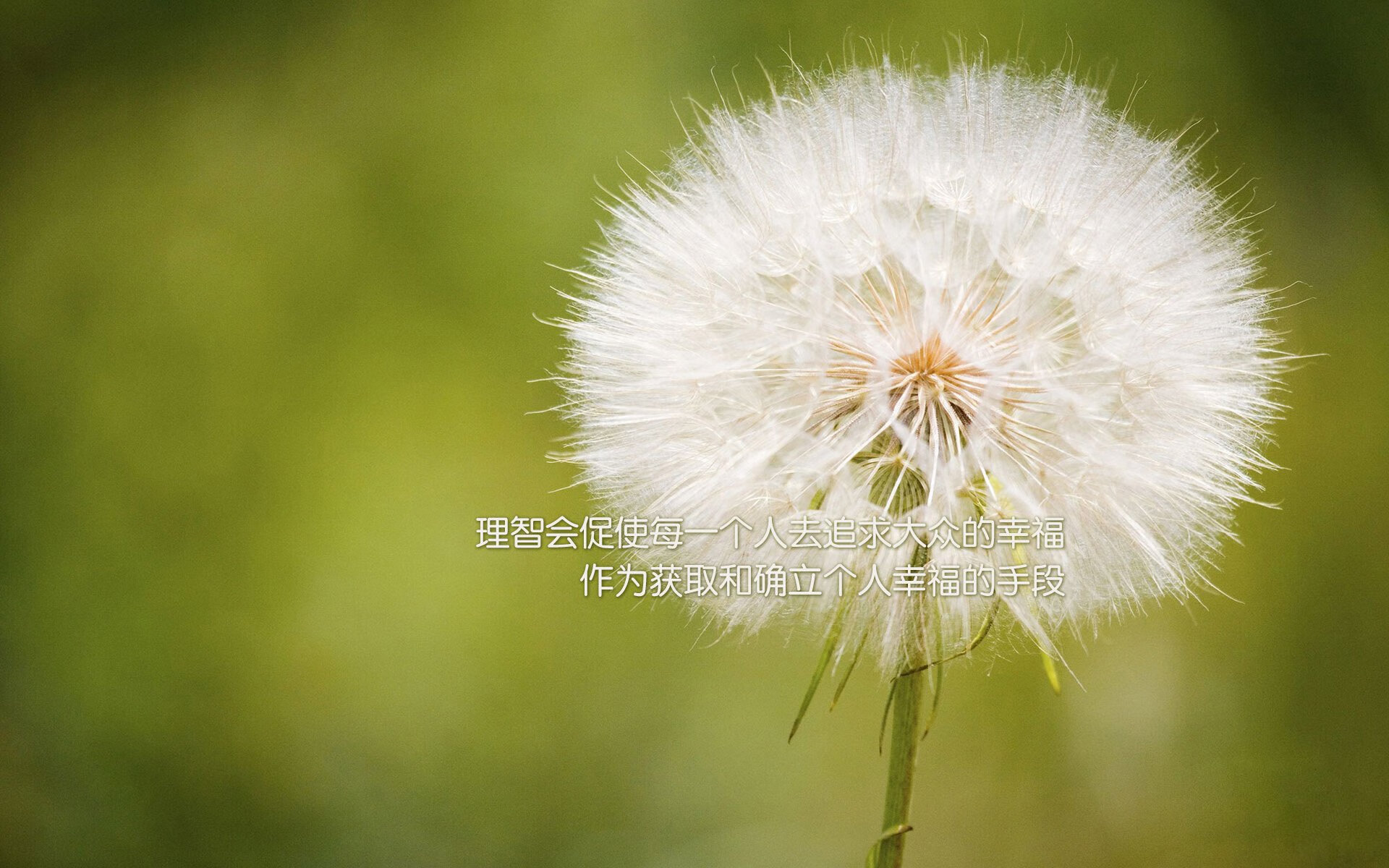 克罗地亚险胜苏格兰，欧锦赛强出线形势渐明朗，2021欧洲杯克罗地亚对苏格兰解析