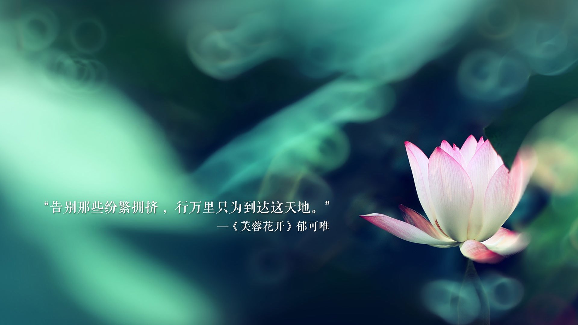 克罗地亚队在巴黎奥运会手球比赛中击败多支强队，克罗地亚国家队赞助