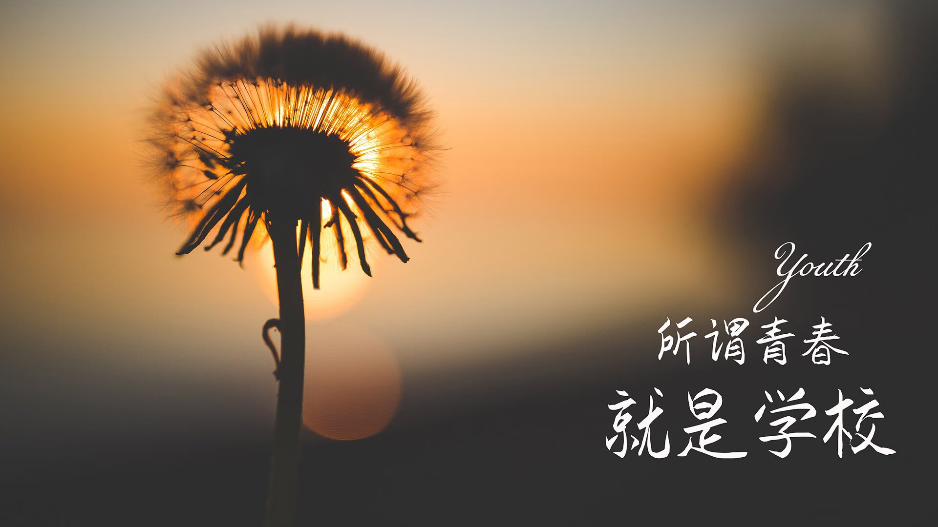 国王新秀哈拉索破得分神奇表现