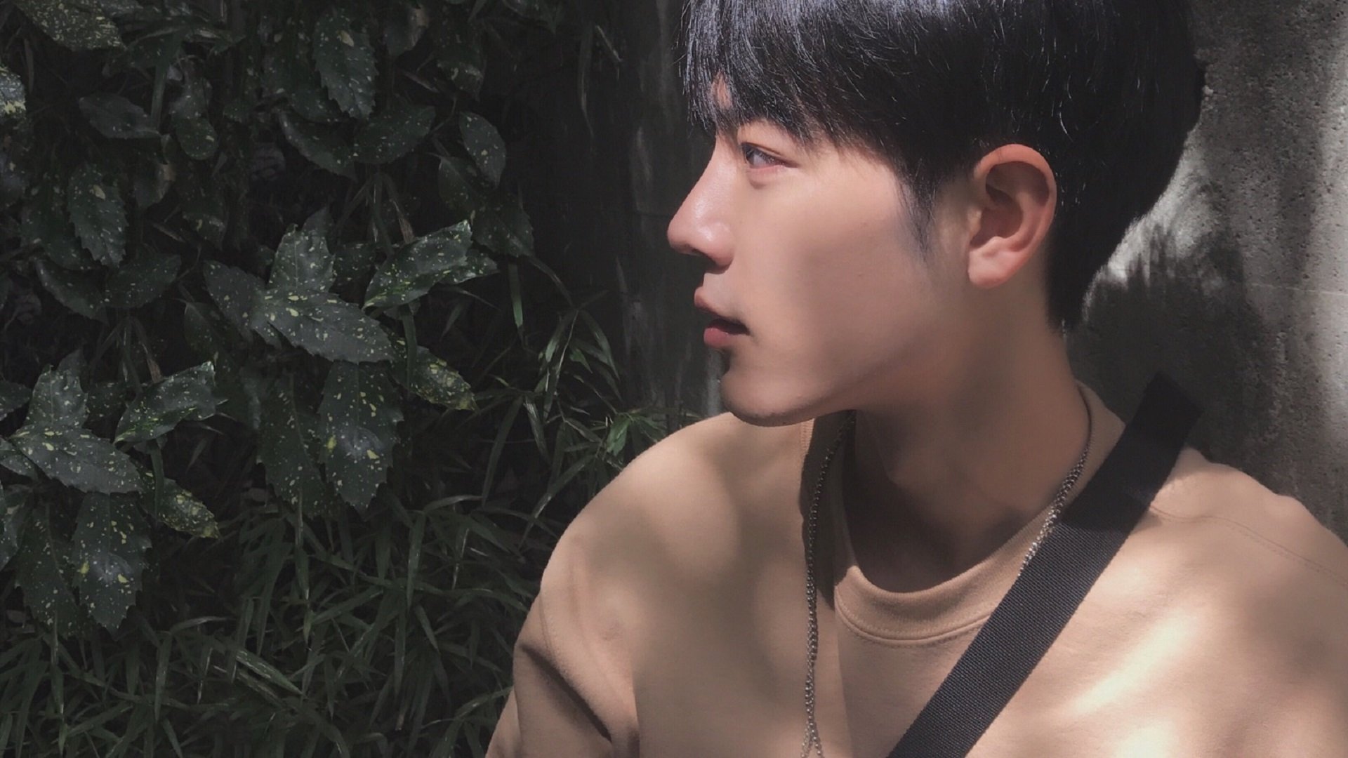 德甲青训中心引入心理韧性训练促进技术发展,德甲青训政策