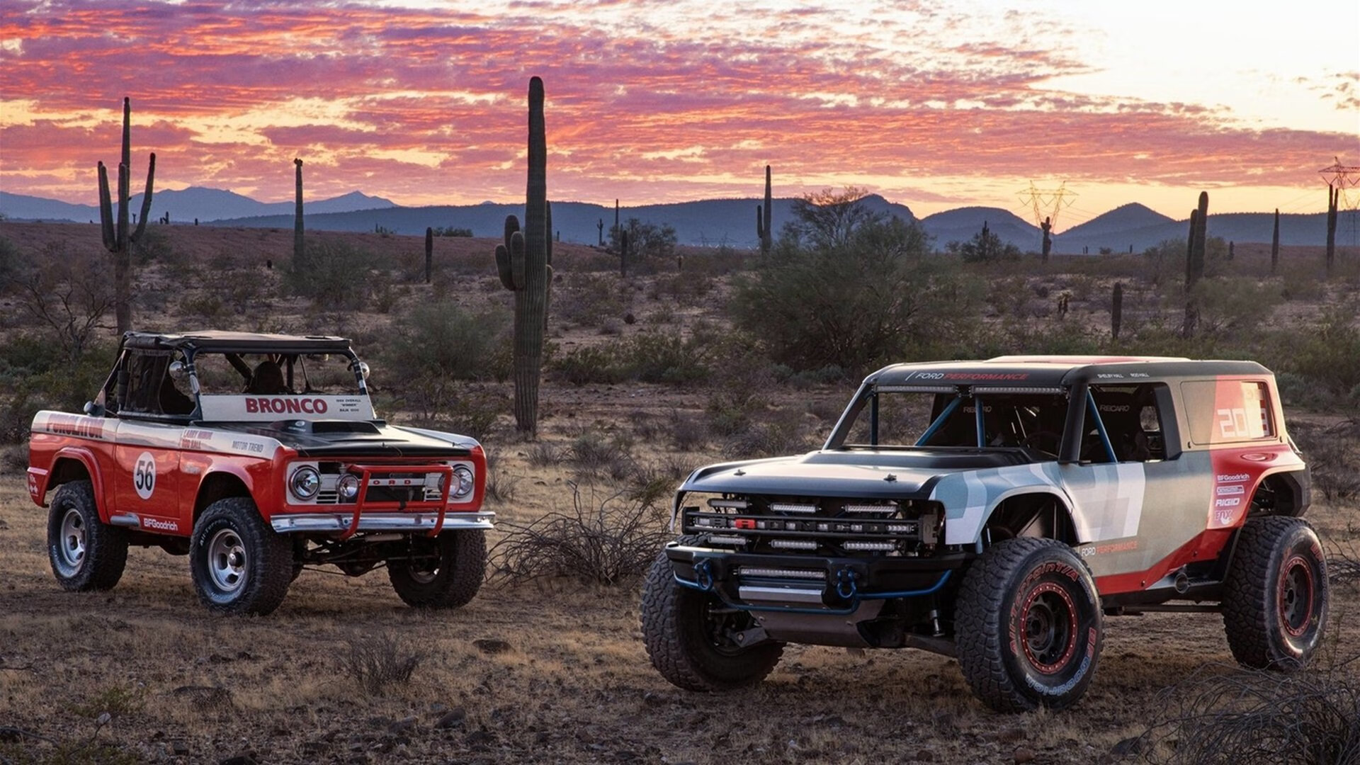 篮球运动员伤病恢复期训练计划制定,篮球运动员 伤病