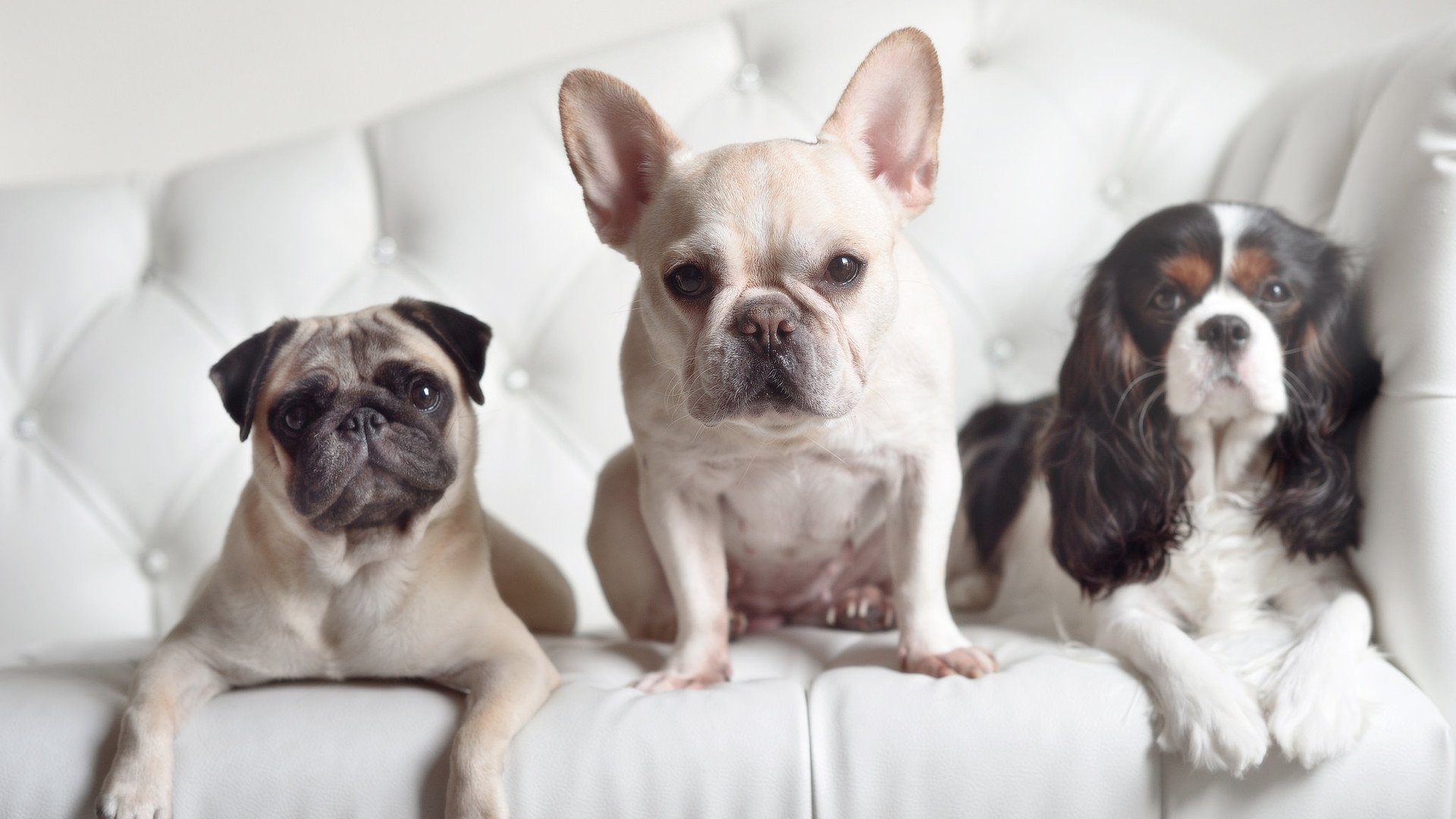 CBA联赛引入先进科技 助力球队提升水平，cba联赛技术统计