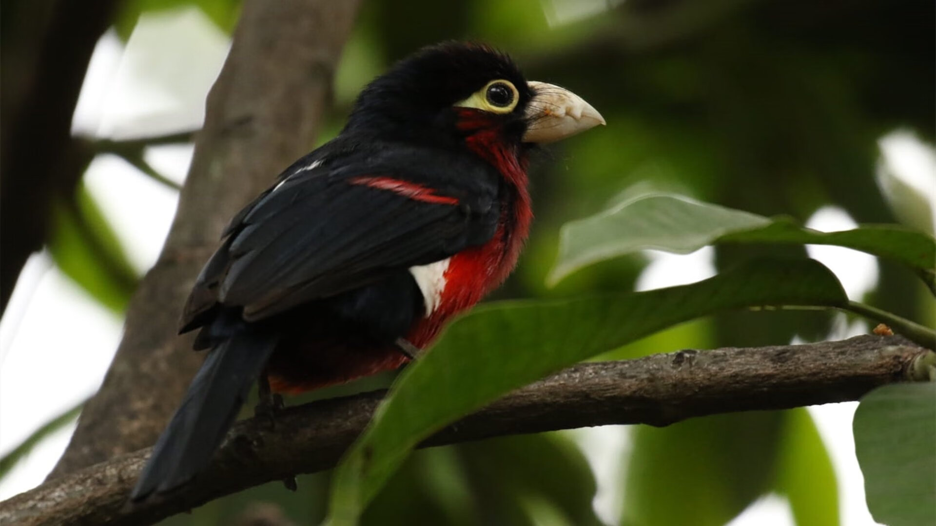 俱乐部建设理念缺乏长线思维,俱乐部发展存在的主要问题